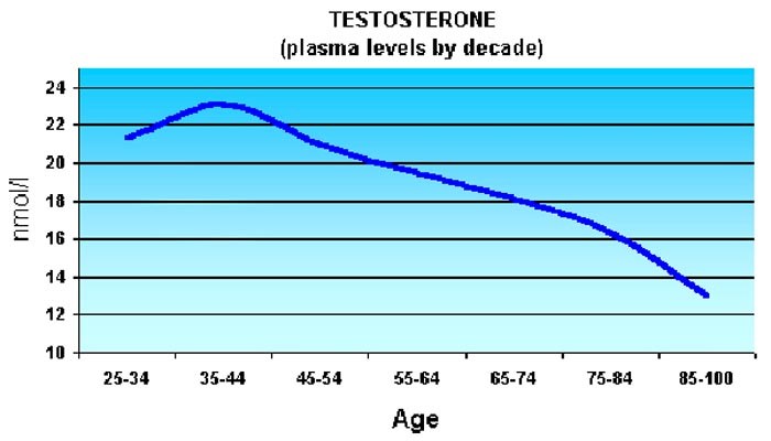 testosterone 2